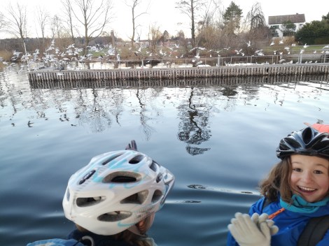 IMG_20200205_171346_1