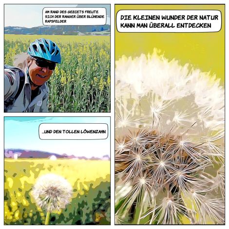 IMAGE 2020-04-17 14:25:12