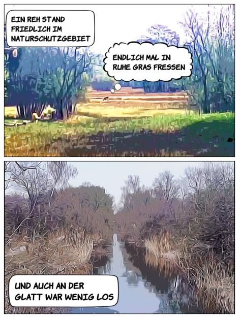 IMAGE 2020-04-17 14:25:16